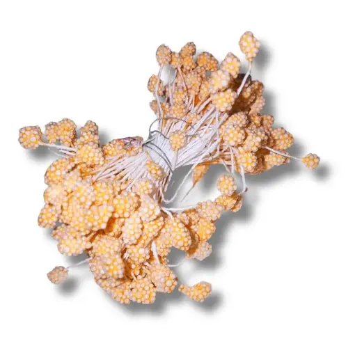 Imagen de Pistilos grandes tipo flor en atado  90772/ - Salmon