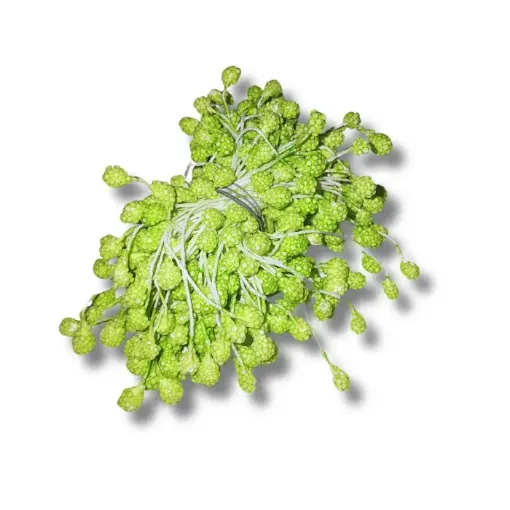 Imagen de Pistilos grandes tipo flor en atado  90772/ - Verde claro