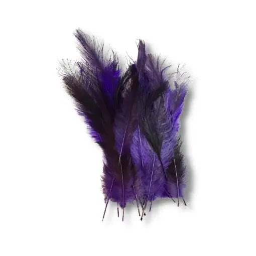 Imagen de Plumas de nandu grandes de 15 a 25cms por 15 unidades aprox color Violeta
