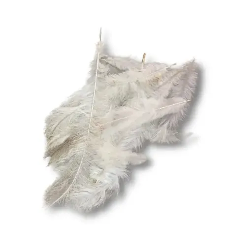 Imagen de Plumas de nandu medianas de 10 a 20cms por 15 unidades aprox color Blanco