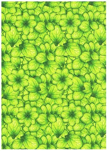 Imagen de Tela para Patchwork 100% algodon de 49*49cms. cod.48813 01 Hojas color verde manzana