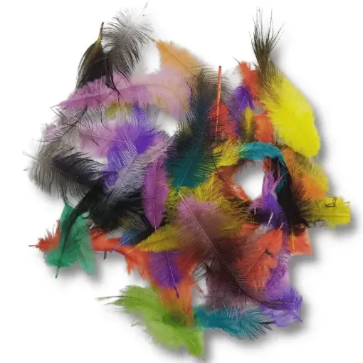 Imagen de Plumas de nandu chicas de 3 a 10cms paquete de 30 a 50 unidades colores surtidos