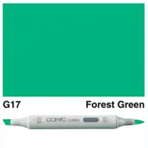 Imagen de Marcador profesional COPIC CIAO alcohol doble punta color G17 Forest Green