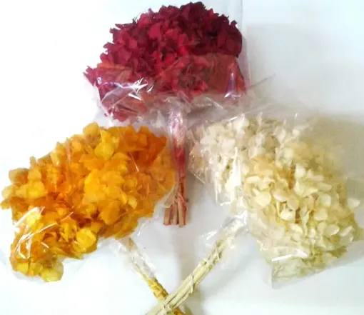 Imagen de Ramo de hortensias glicerinadas de colores 