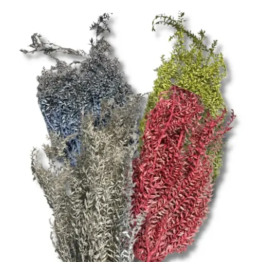Imagen de Ramo de Papiro seco procesado variedad de colores