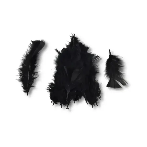 Imagen de Plumas de pavo de 7 a 17cms. surtidas  *5grs. (30 unid.aprox.) color negro