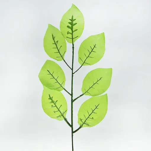 Imagen de Vara de 40cms. con 7 hojas de limonero de 16cms. 