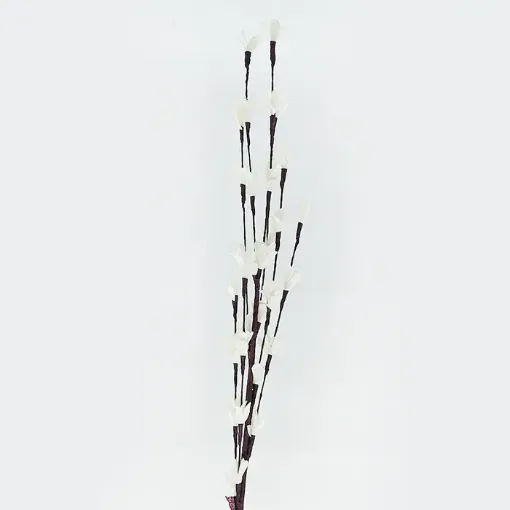 Imagen de Vara de pequena flor con tallo marron de 67cms. color Blanca