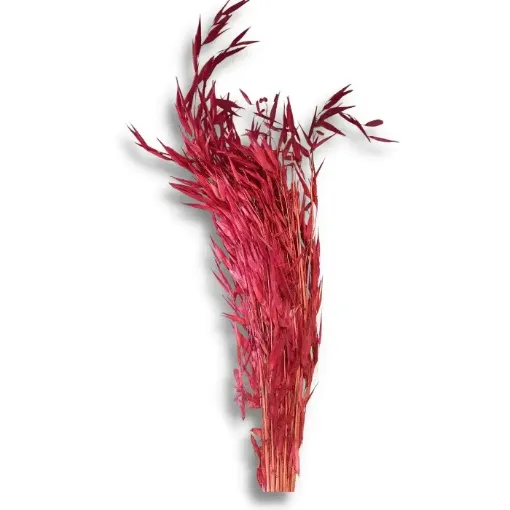 Imagen de Ramo de flores secas avena de color rojo
