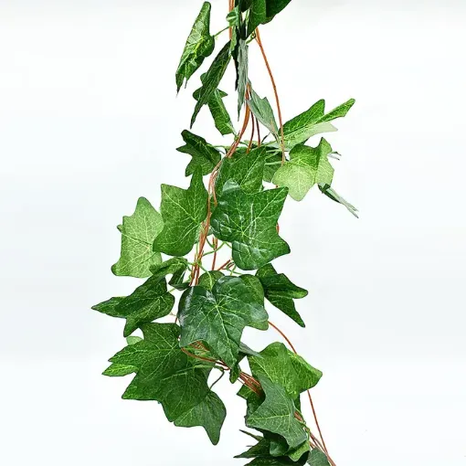 Imagen de Guia de hojas verde de 220cms de largo x5 unidades