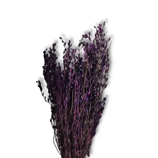 Imagen de Ramo de caracolito flores secas color Violeta