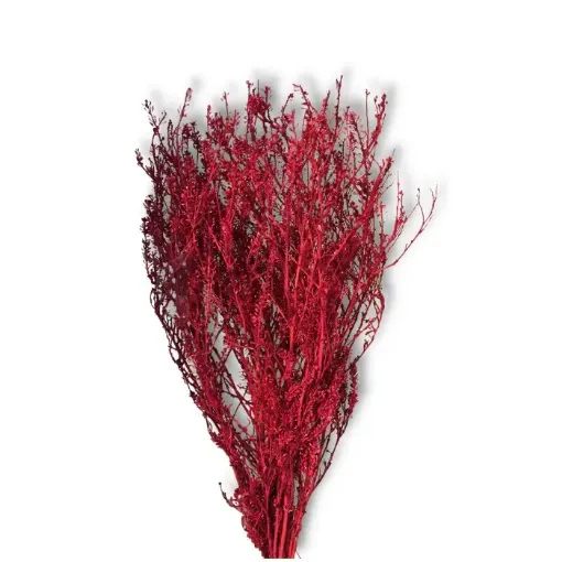 Imagen de Ramo de flores secas Mastuerzo ramo de color Fucsia