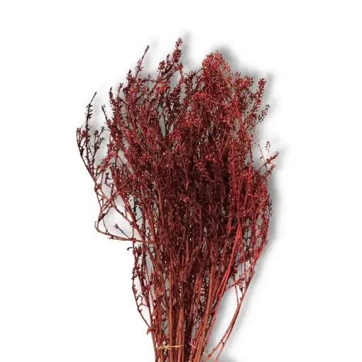 Imagen de Ramo de flores secas Mastuerzo ramo de color Rojo
