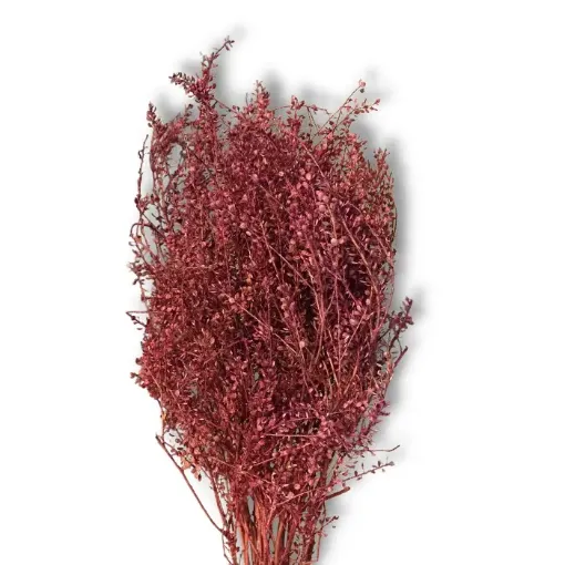 Imagen de Ramo de flores secas Mastuerzo ramo de color Rosado