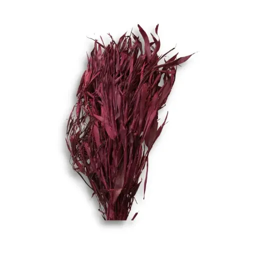 Imagen de Ramo de follaje seco hojas de cania color Rojo