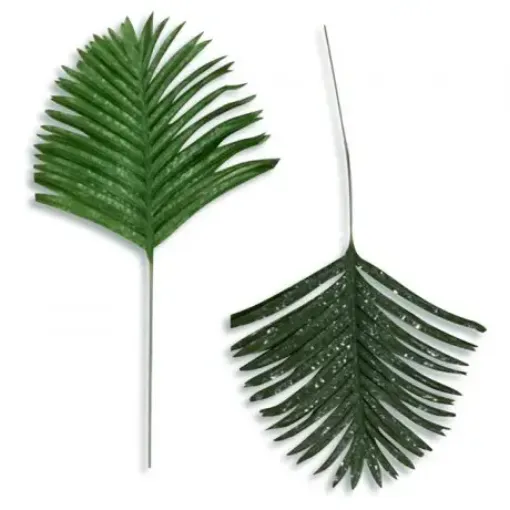 Imagen de Follaje artificial Hoja de Palma de 60cms FE436 color Verde