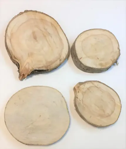 Imagen de Rodaja de madera nacional de Eucaliptus con corteza Variedad de medidas