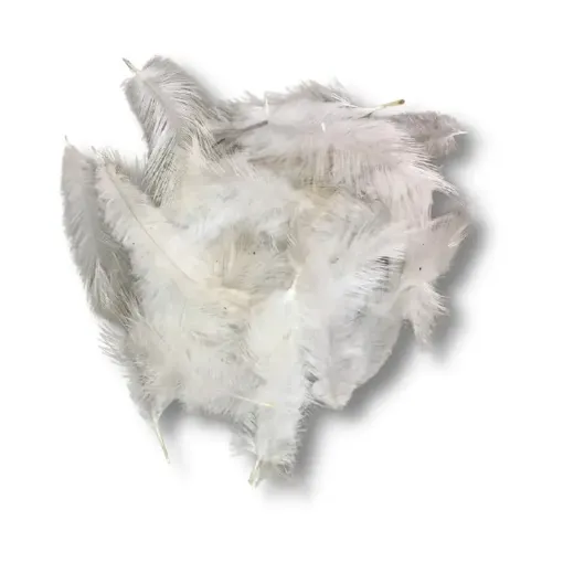 Imagen de Plumas de pavo de 7 a 17cms en paquete de 5grs x30 unidades aprox Color Blanco