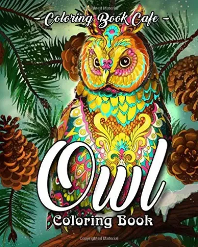Imagen de Libro para pintar adultos anti estress 24 paginas 25x25cms Owls