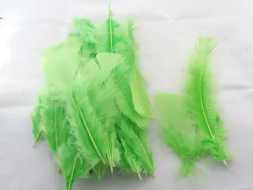 plumas pavo 7 17cms paquete 5grs x30 unidades aprox color verde claro light green 8290 0