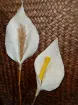 flor artificial artesanal 30cms modelo cala lienzo f001 1