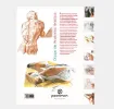 libro aula dibujo anatomia artistica editorial parramon 23x29cms 160pags 1