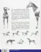 libro escuela dibujo la anatomia animal editorial parramon 21x23cms 204pags 1