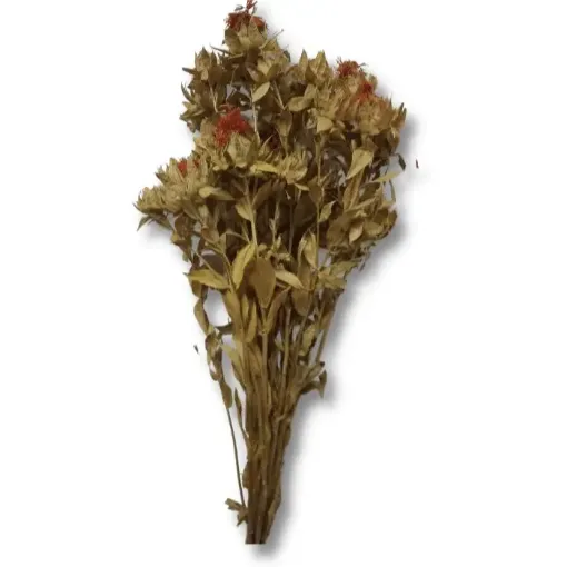 ramo azafran flores secas procesadas color natural 0