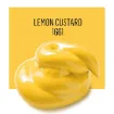 pintura acrilica para exterior brillante outdoor acrylic paint folkart 59ml color 1661 lemon custard amarillo limon 1