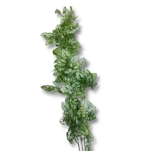 planta artificial fitonia blanca 100cms colgar x5 varas pc2079 0