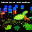 Imagen de Purpurina gruesa glitter para resina epoxi "LETS RESIN" kit de 12 colores Glow in the Dark x12grs