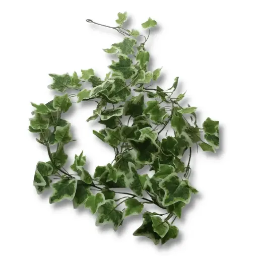 guia hojas artificiales hiedra 160cms color verde blanco por unidad 0