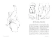 libro anatomia artistica 4 grasas pliegues por michel lauricella editorial ggdiy 96pags 12x18cms 2