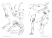 libro anatomia artistica 2 cuerpo humano por michel lauricella editorial ggdiy 96pags 12x18cms 5