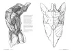 libro anatomia artistica 1 por michel lauricella editorial ggdiy 96pags 12x18cms 3