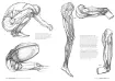 libro anatomia artistica 1 por michel lauricella editorial ggdiy 96pags 12x18cms 4