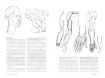 libro anatomia artistica 7 cuerpos musculados por michel lauricella editorial ggdiy 96pags 12x18cms 3