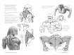 libro anatomia artistica 7 cuerpos musculados por michel lauricella editorial ggdiy 96pags 12x18cms 4