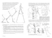 libro anatomia artistica 9 mamiferos morfologia por michel lauricella editorial ggdiy 96pag 12x18cms 3