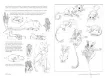 libro anatomia artistica 9 mamiferos morfologia por michel lauricella editorial ggdiy 96pag 12x18cms 5