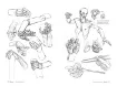 libro anatomia artistica 6 manos pies por michel lauricella editorial ggdiy 96pags 12x18cms 3