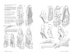 libro anatomia artistica 6 manos pies por michel lauricella editorial ggdiy 96pags 12x18cms 5