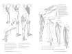 libro anatomia artistica 5 articulaciones por michel lauricella editorial ggdiy 96pags 12x18cms 5