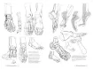 libro anatomia artistica 3 el esqueleto por michel lauricella editorial ggdiy 96pags 12x18cms 5