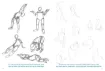 libro dibujar el cuerpo humano por peter boerboom tim proetel editorial ggdiy 160pags 15 5x21cms 4