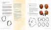libro como dibujar rostros caras expresivas por amarilys henders editorial librero 144pags 22x25cm 2