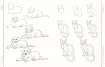 libro 100 animales dibujo realista por melissa washburn editorial librero 112pags 22x28cms 1