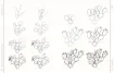 libro 100 flores plantas dibujo realista por melissa washburn editorial librero 112pags 22x28cms 4