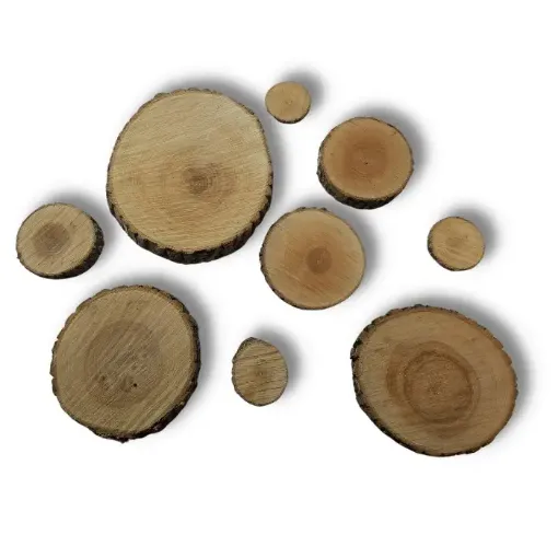 rodaja madera nacional corteza 14 18cms aprox 0