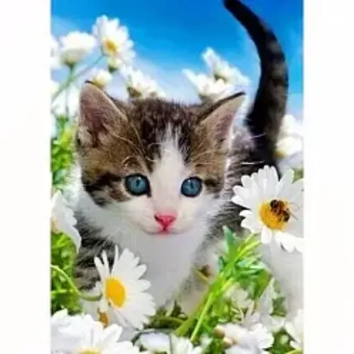 set pintura diamantes art gem 5d lamina 30x40cms modelo gatitos 010x 0